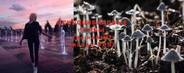 бошки Лихославль