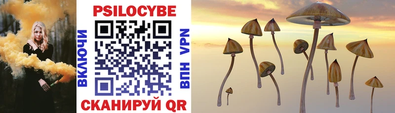 Галлюциногенные грибы Psilocybine cubensis  Зверево 